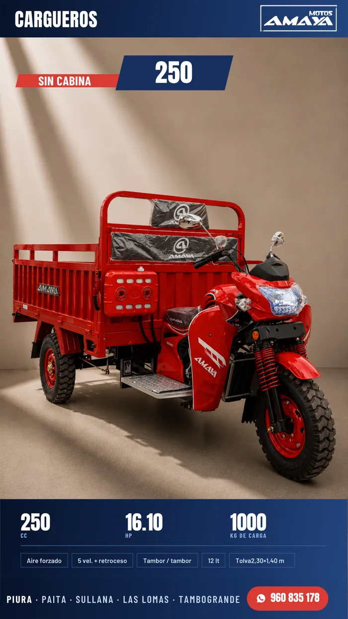 RA250X1